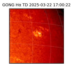 gong - 2025-03-22T17:00:22