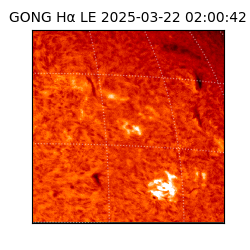 gong - 2025-03-22T02:00:42