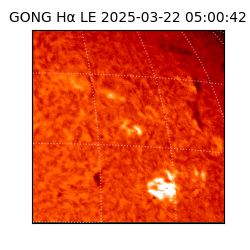 gong - 2025-03-22T05:00:42