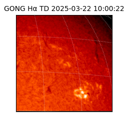 gong - 2025-03-22T10:00:22