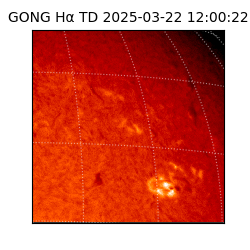 gong - 2025-03-22T12:00:22