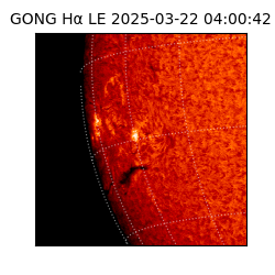 gong - 2025-03-22T04:00:42