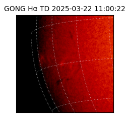 gong - 2025-03-22T11:00:22