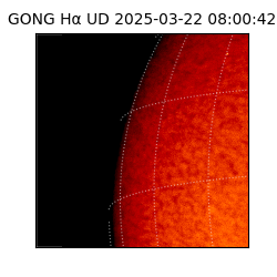 gong - 2025-03-22T08:00:42