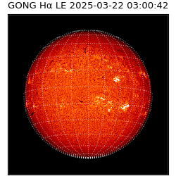 gong - 2025-03-22T03:00:42