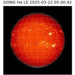 gong - 2025-03-22T05:00:42