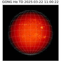 gong - 2025-03-22T11:00:22