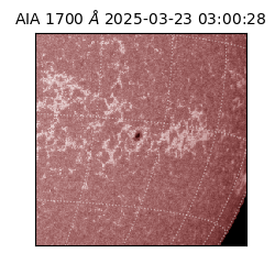 saia - 2025-03-23T03:00:28.721000