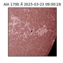 saia - 2025-03-23T09:00:28.721000