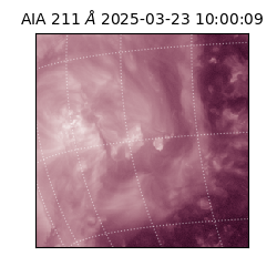 saia - 2025-03-23T10:00:09.626000