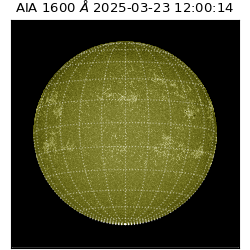 saia - 2025-03-23T12:00:14.126000