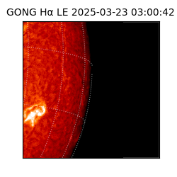 gong - 2025-03-23T03:00:42