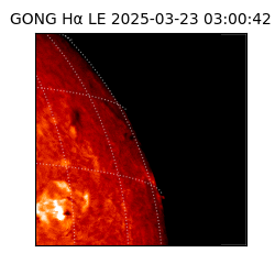 gong - 2025-03-23T03:00:42