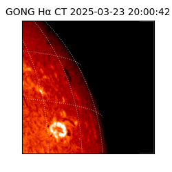 gong - 2025-03-23T20:00:42
