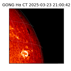 gong - 2025-03-23T21:00:42