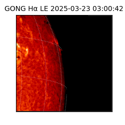 gong - 2025-03-23T03:00:42