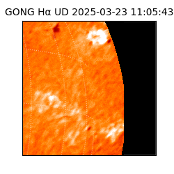 gong - 2025-03-23T11:05:43