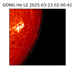 gong - 2025-03-23T02:00:42