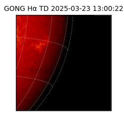 gong - 2025-03-23T13:00:22