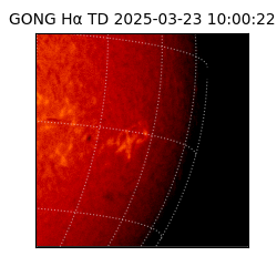 gong - 2025-03-23T10:00:22
