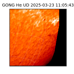 gong - 2025-03-23T11:05:43