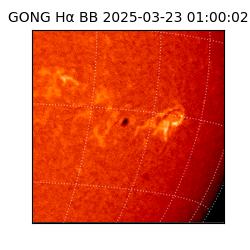 gong - 2025-03-23T01:00:02