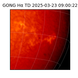 gong - 2025-03-23T09:00:22