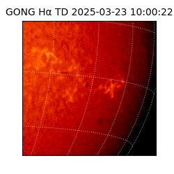 gong - 2025-03-23T10:00:22