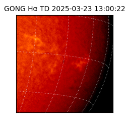 gong - 2025-03-23T13:00:22