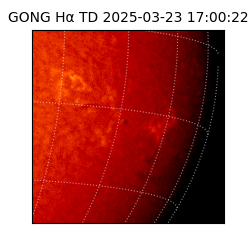 gong - 2025-03-23T17:00:22