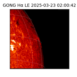 gong - 2025-03-23T02:00:42
