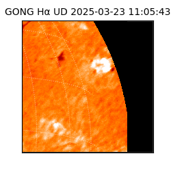 gong - 2025-03-23T11:05:43