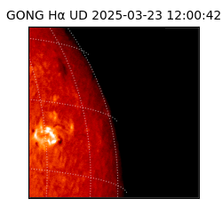 gong - 2025-03-23T12:00:42