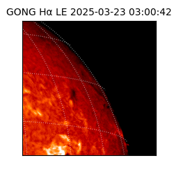 gong - 2025-03-23T03:00:42