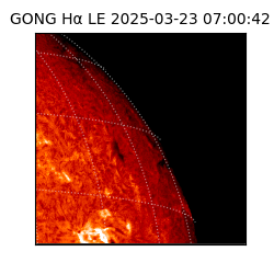 gong - 2025-03-23T07:00:42