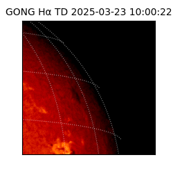 gong - 2025-03-23T10:00:22