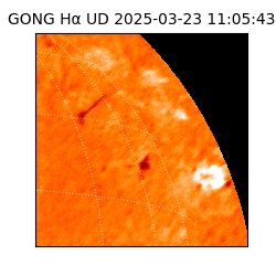 gong - 2025-03-23T11:05:43