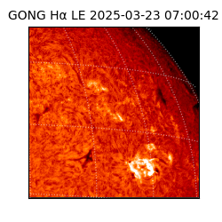 gong - 2025-03-23T07:00:42