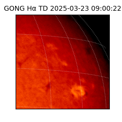 gong - 2025-03-23T09:00:22