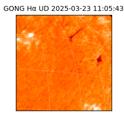 gong - 2025-03-23T11:05:43