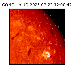 gong - 2025-03-23T12:00:42