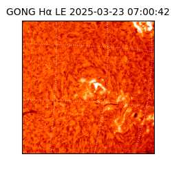 gong - 2025-03-23T07:00:42