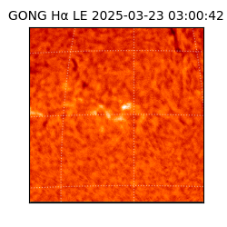 gong - 2025-03-23T03:00:42