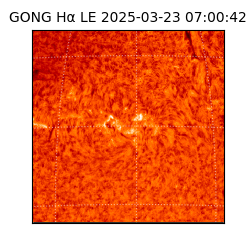 gong - 2025-03-23T07:00:42