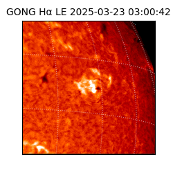 gong - 2025-03-23T03:00:42