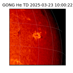 gong - 2025-03-23T10:00:22