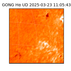 gong - 2025-03-23T11:05:43