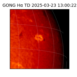 gong - 2025-03-23T13:00:22