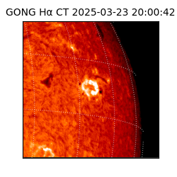 gong - 2025-03-23T20:00:42
