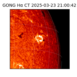 gong - 2025-03-23T21:00:42